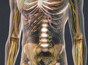 Degenerative Disc Disease diagram